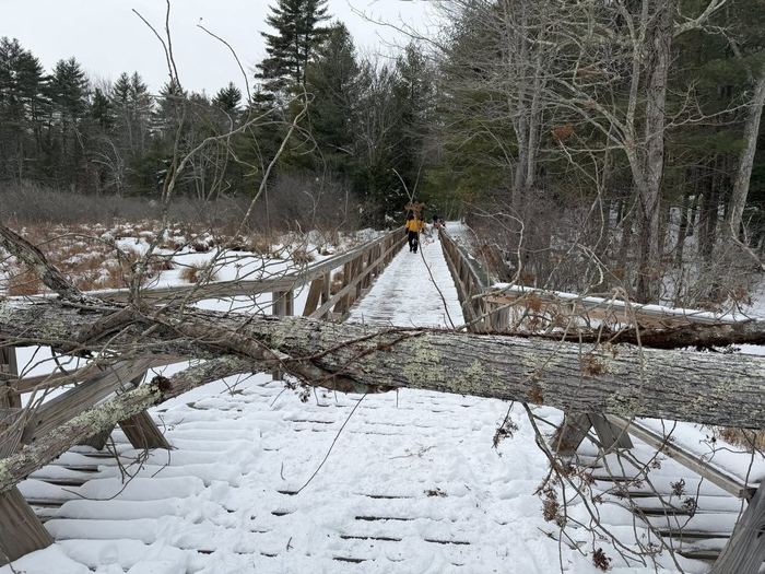Clearing the trails